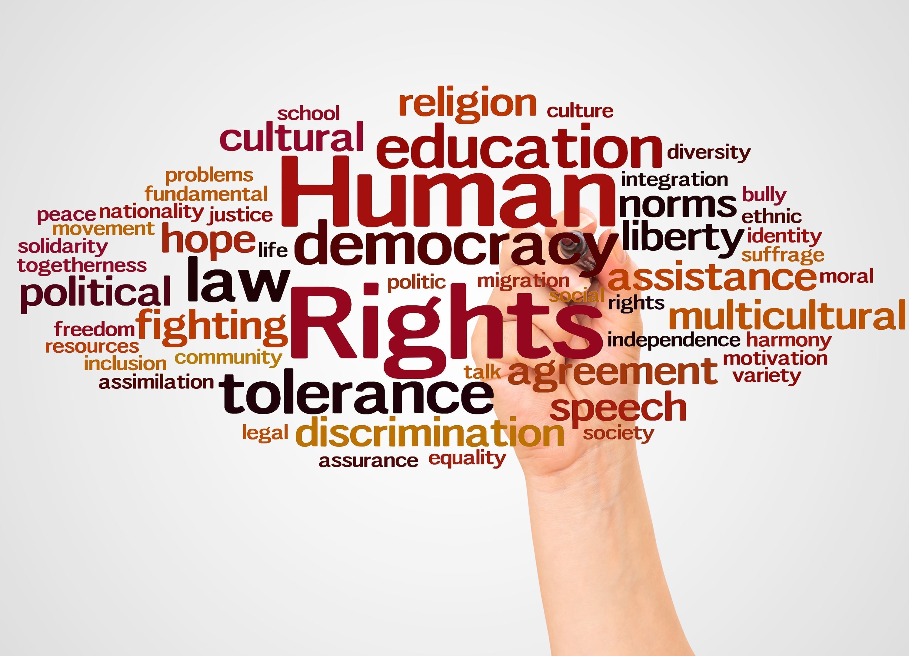 Human Rights Day 2025 - The Mandatory Training Group UK -