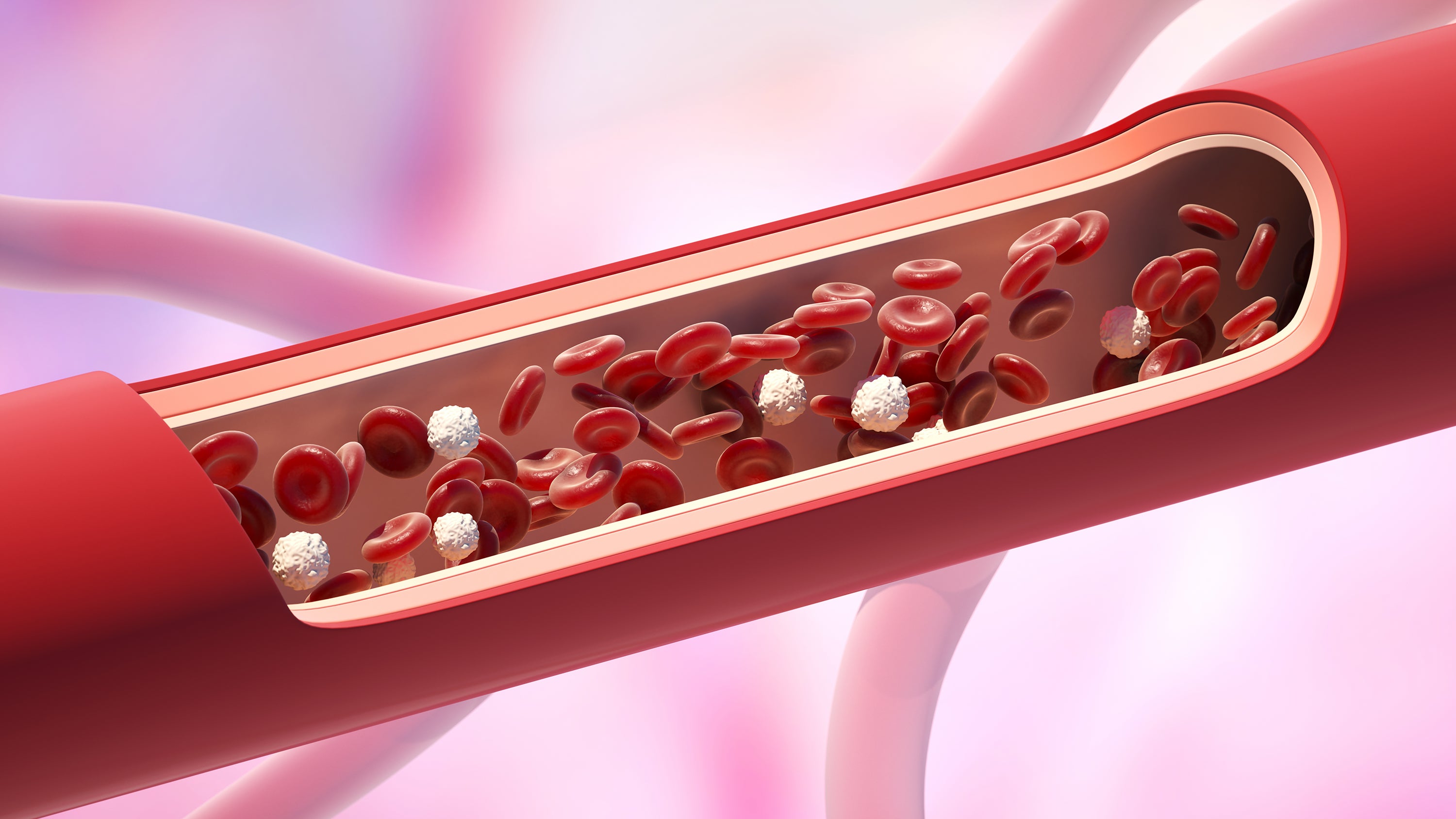 National Cholesterol Month 2025 - The Mandatory Training Group UK -