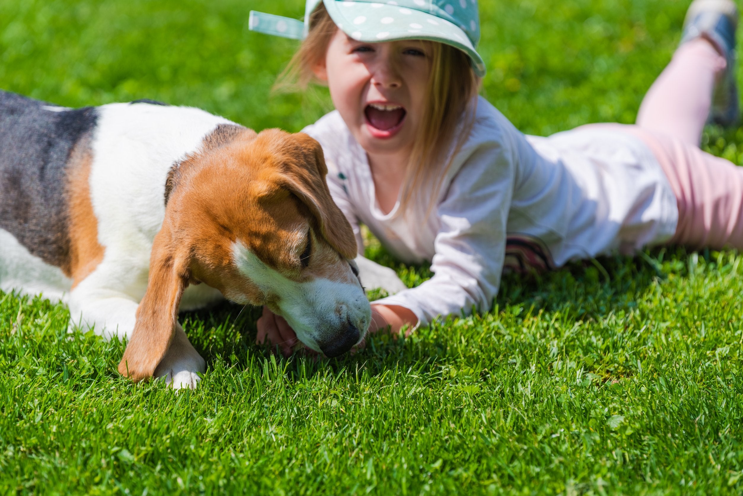 First aid for animal bites in children & babies