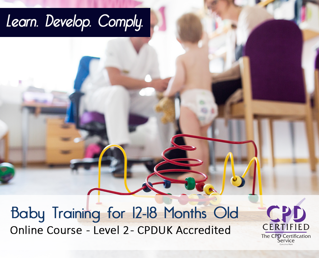 Baby Training for 12-18 Months Old - Online Course - CPDUK Accredited