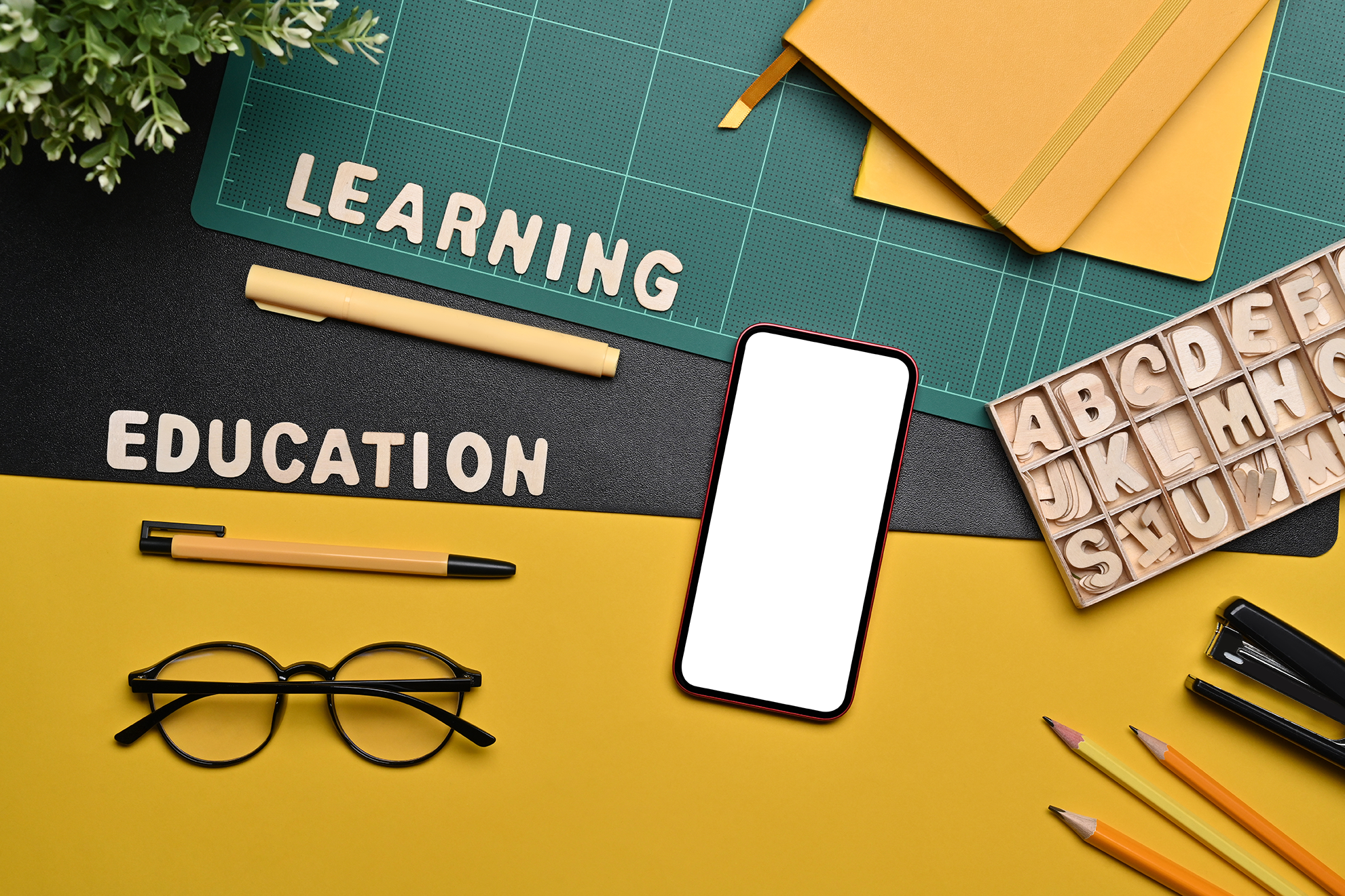 Enhance Patient Care with Tailored LMS for Healthcare Training - The Mandatory Training Group UK - 