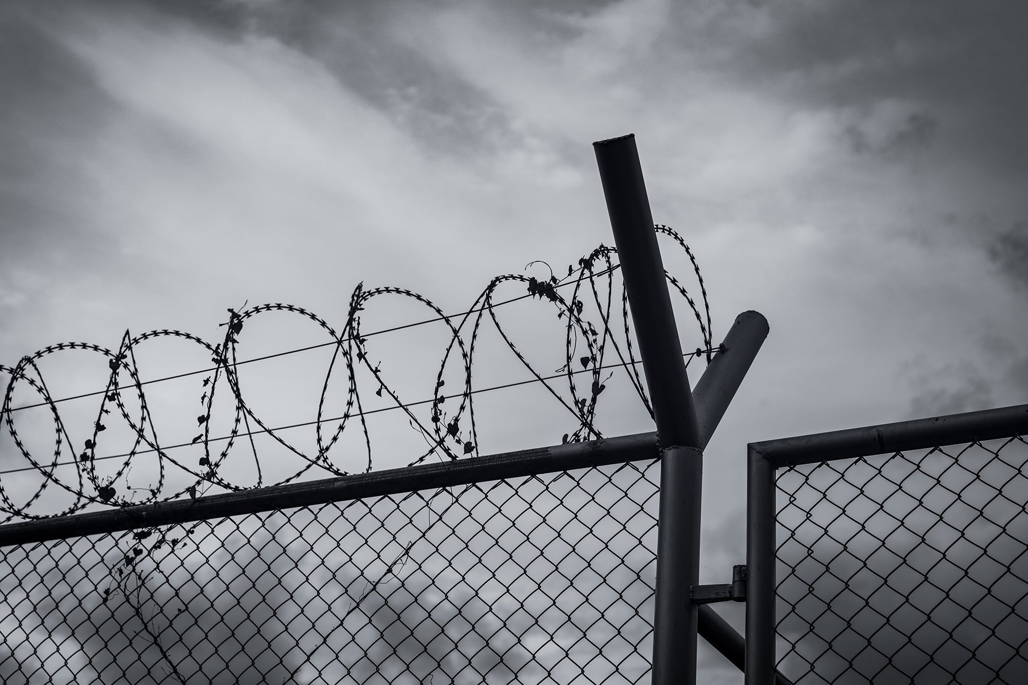ComplyPlus for prisons and secure settings - The Mandatory Training Group UK -