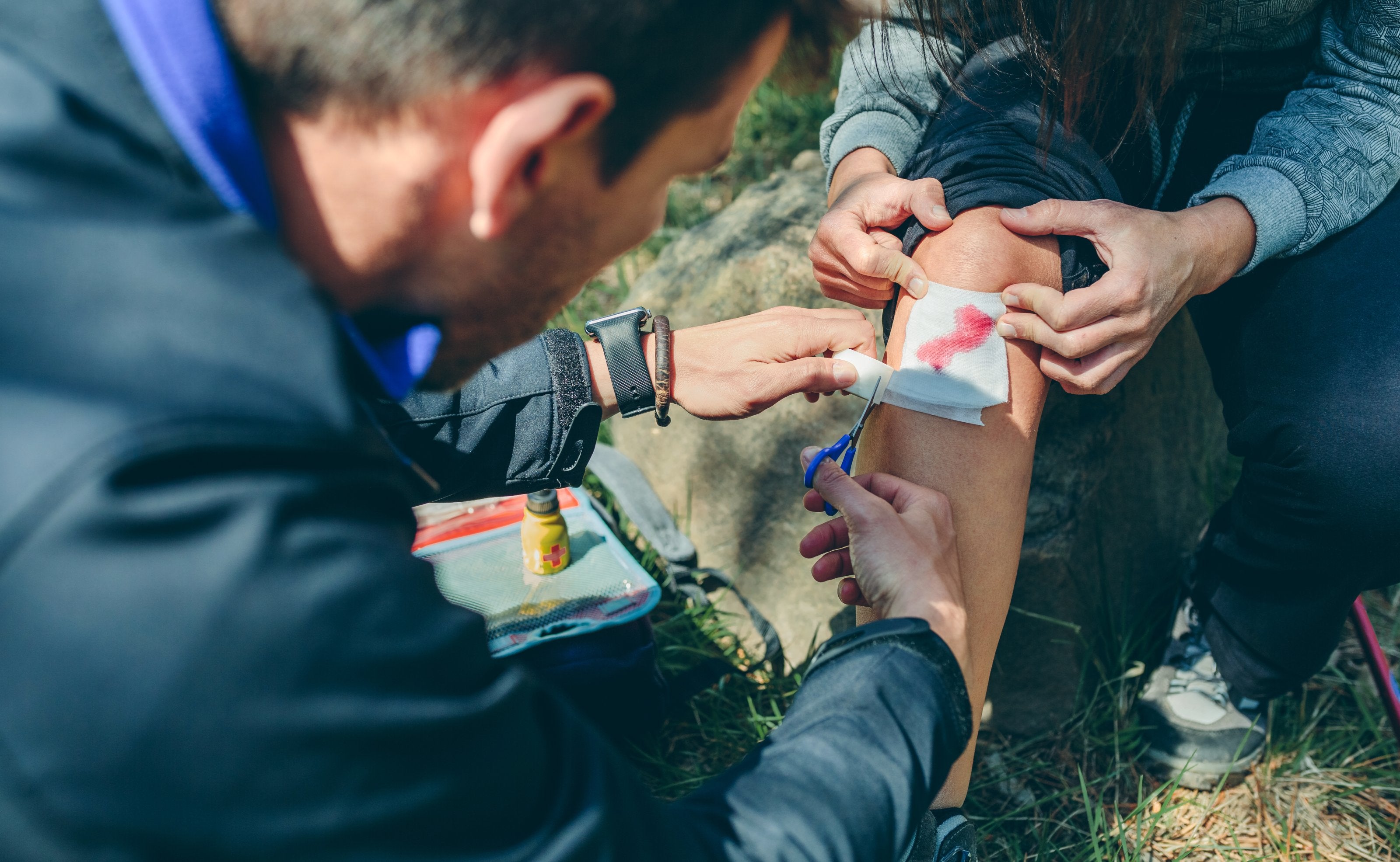First aid treatment for animal bites - ComplyPlus™ - The Mandatory Training Group UK -