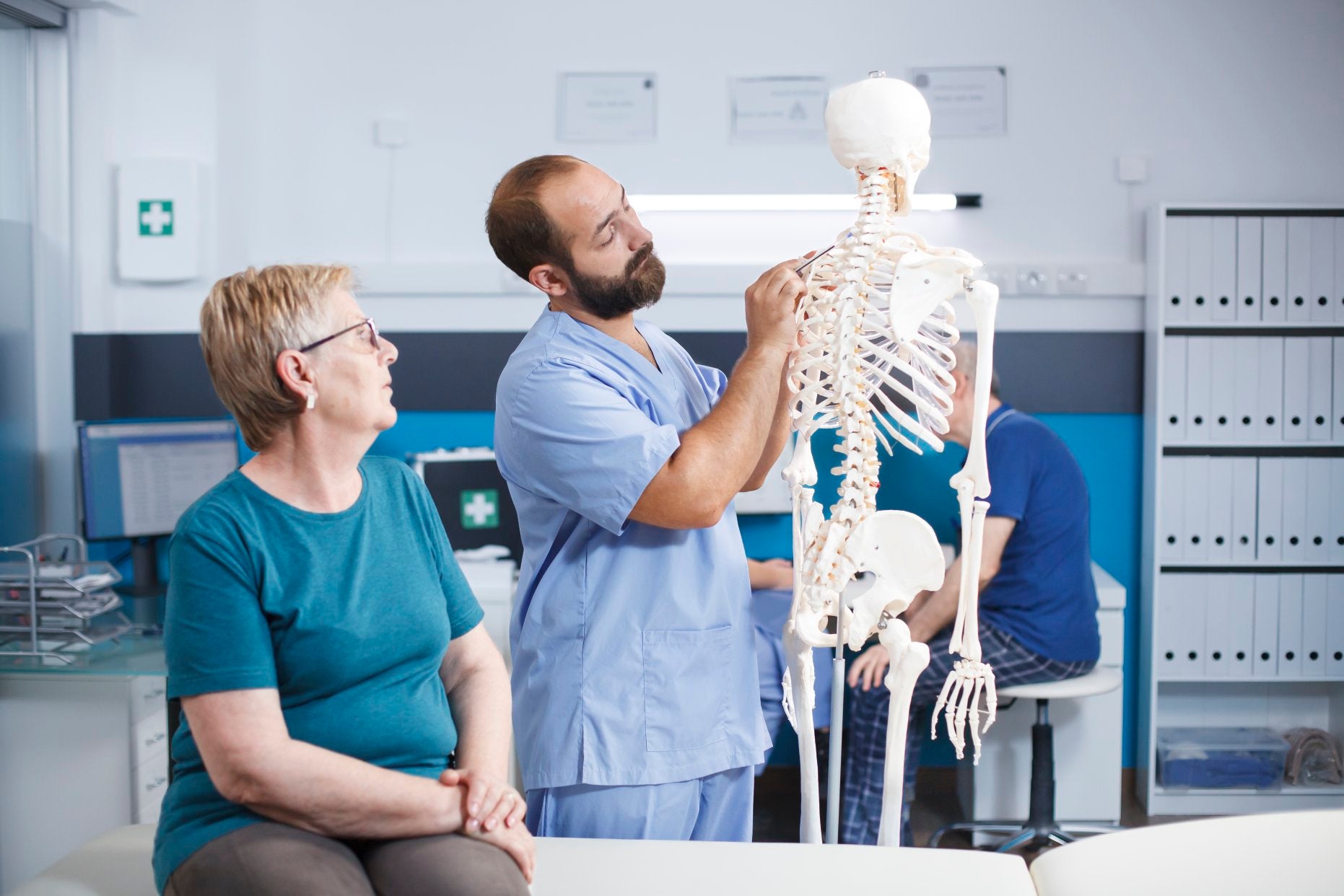 How does the human spine work?