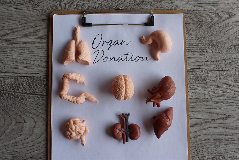 Organ Donation Week 2024 - ComplyPlus LMS™ - The Mandatory Training Group UK -