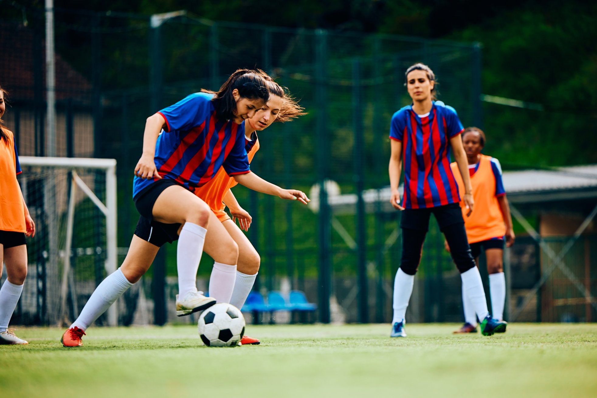 Role of Sport Scotland