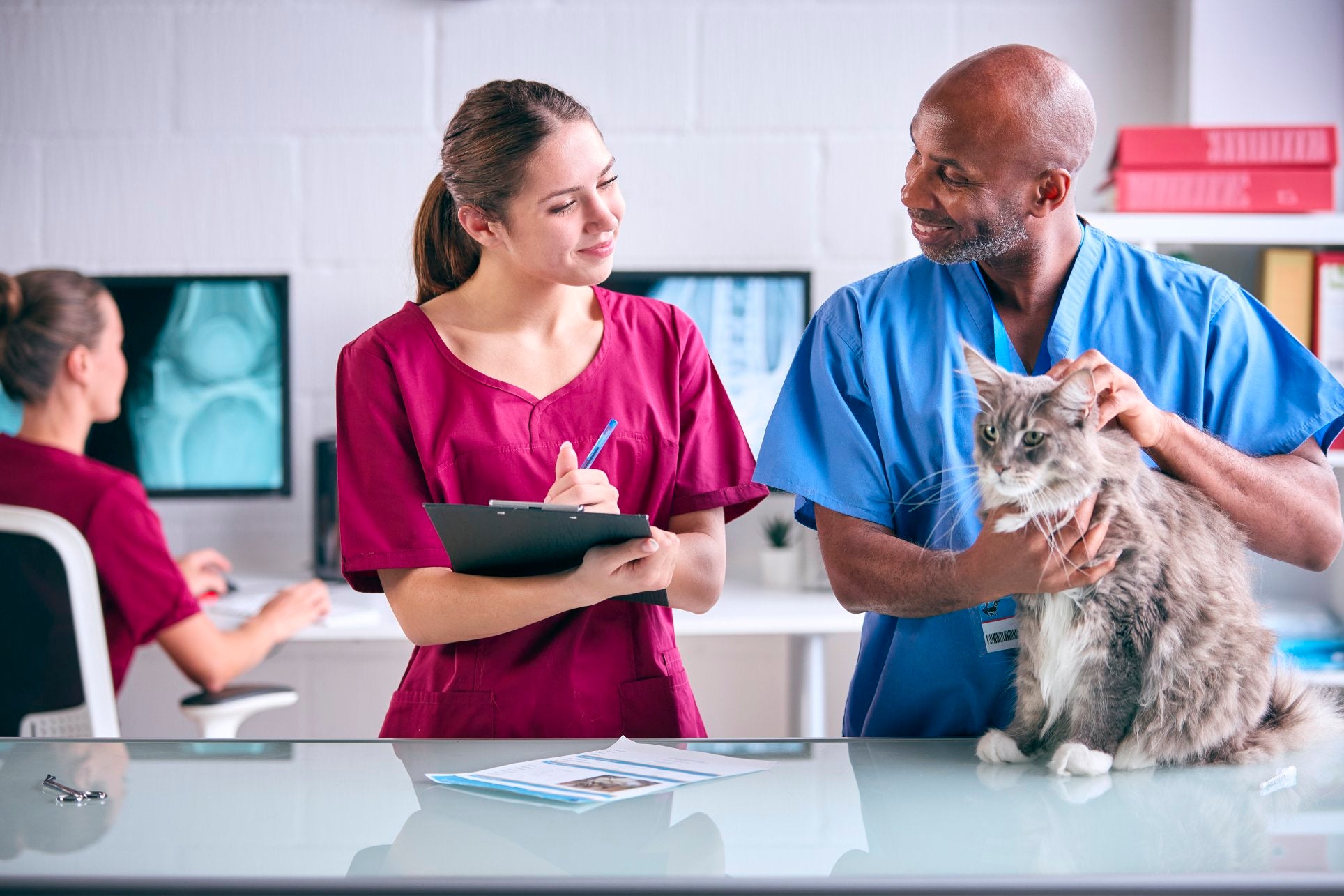 Role of the British Veterinary Association - ComplyPlus™ - The Mandatory Training Group UK -