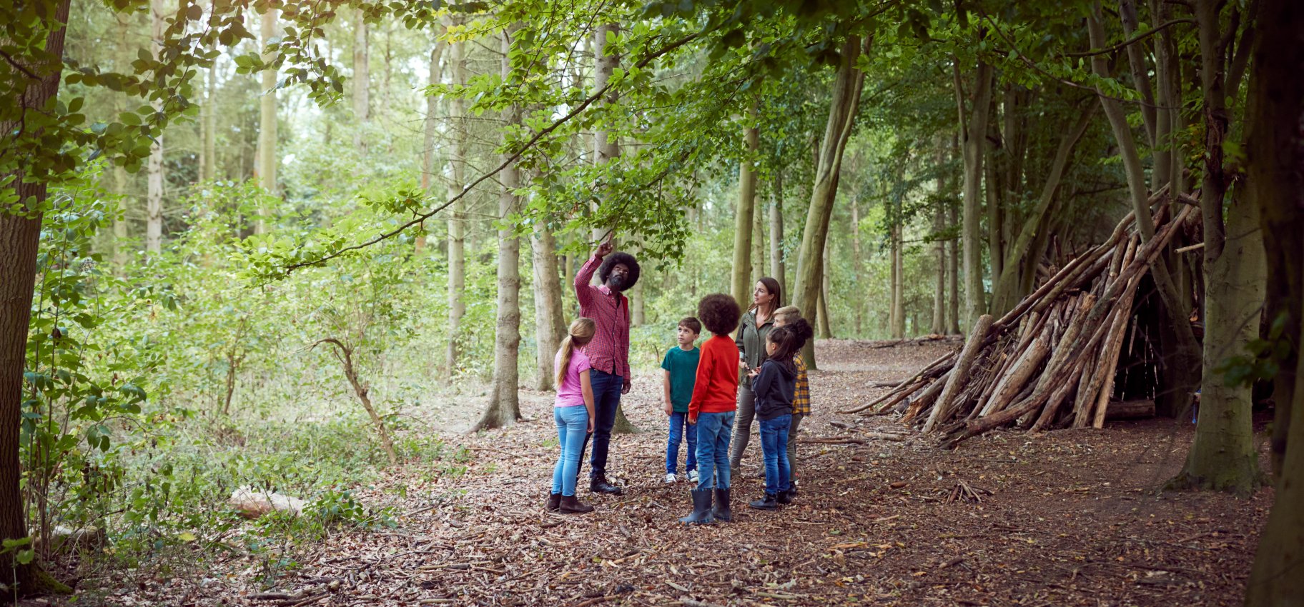 Role of the Forest School Association - ComplyPlus™ - The Mandatory Training Group UK -