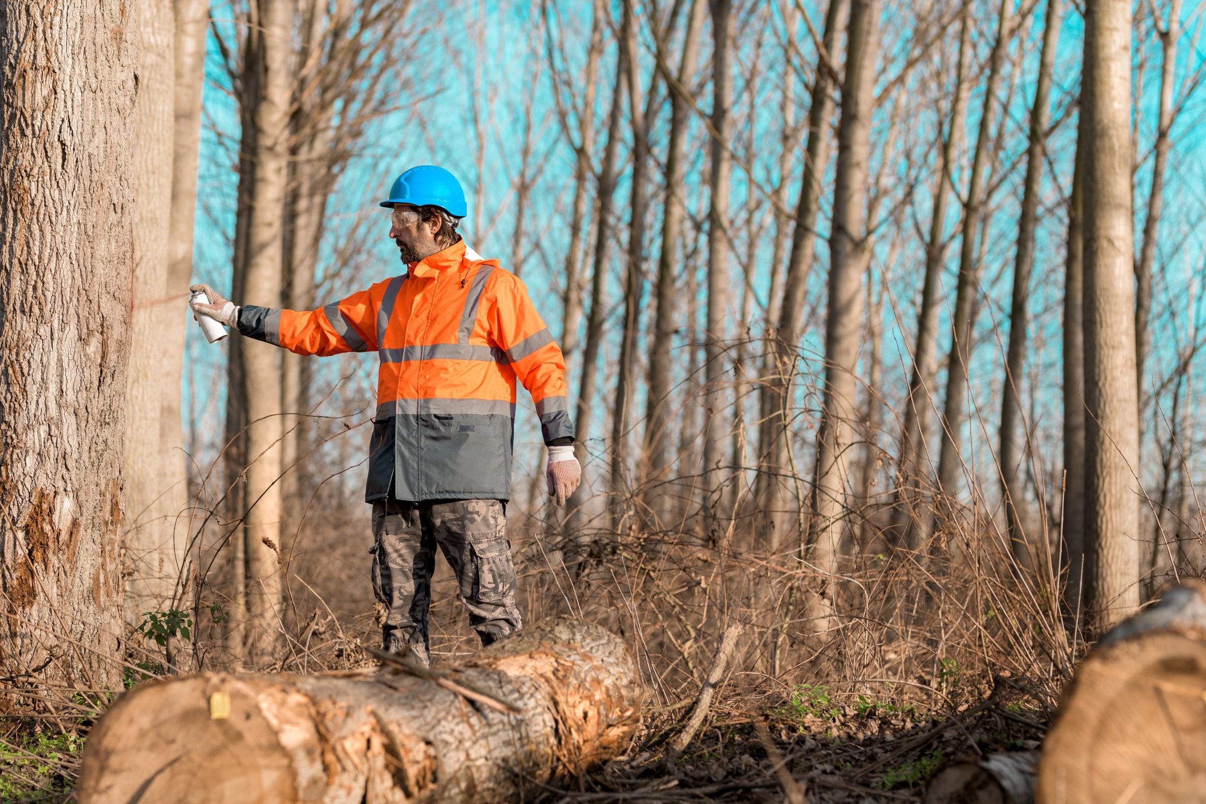 Role of the Institute of Chartered Foresters - ComplyPlus™ - The Mandatory Training Group UK -
