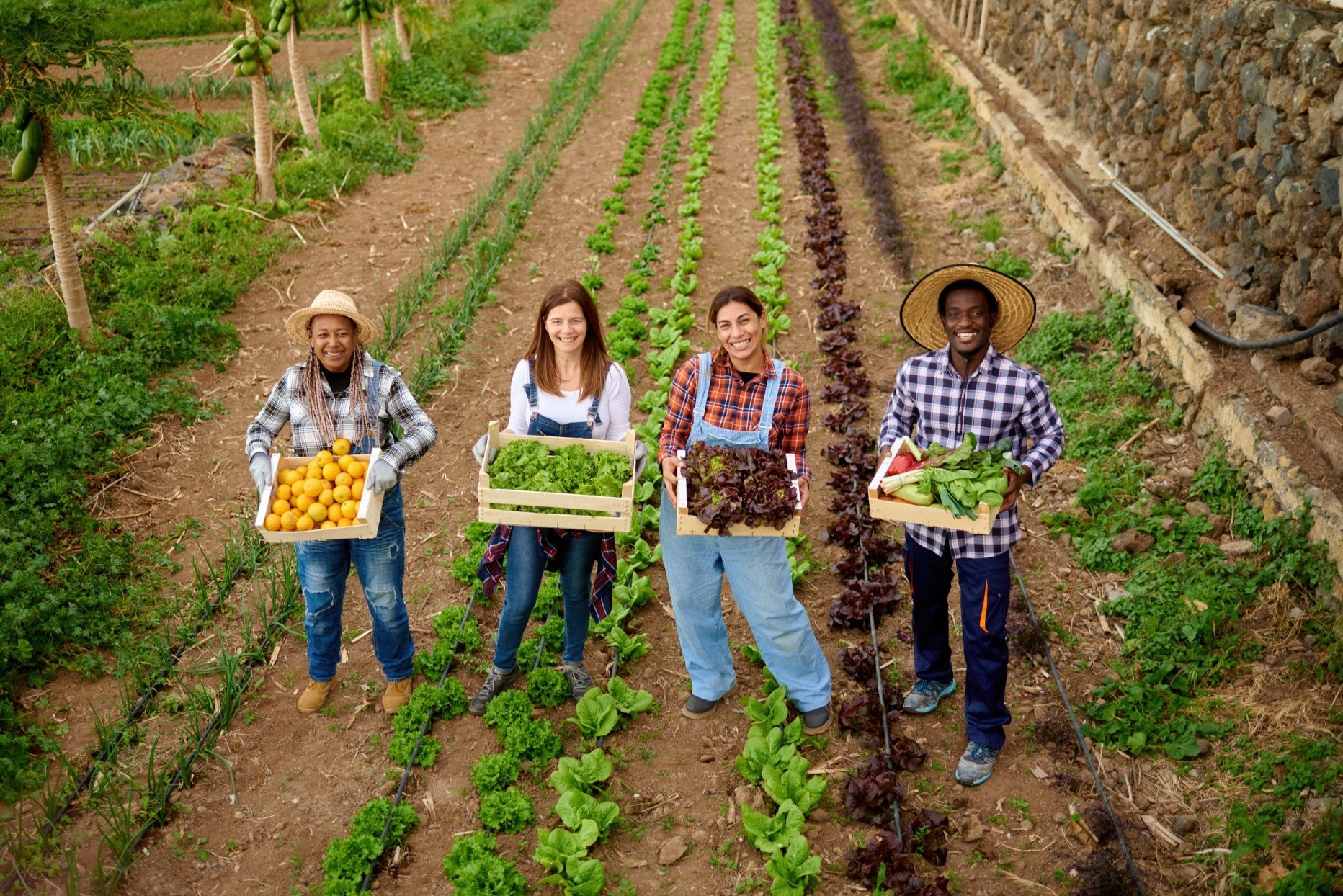 Role of the National Farmers' Union - ComplyPlus™ - The Mandatory Training Group UK -