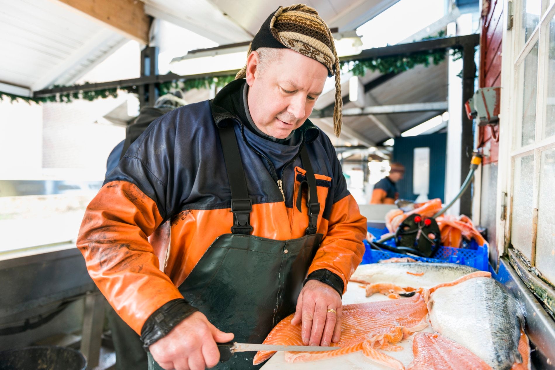 Role of the National Federation of Fish Friers - ComplyPlus™ - The Mandatory Training Group UK -