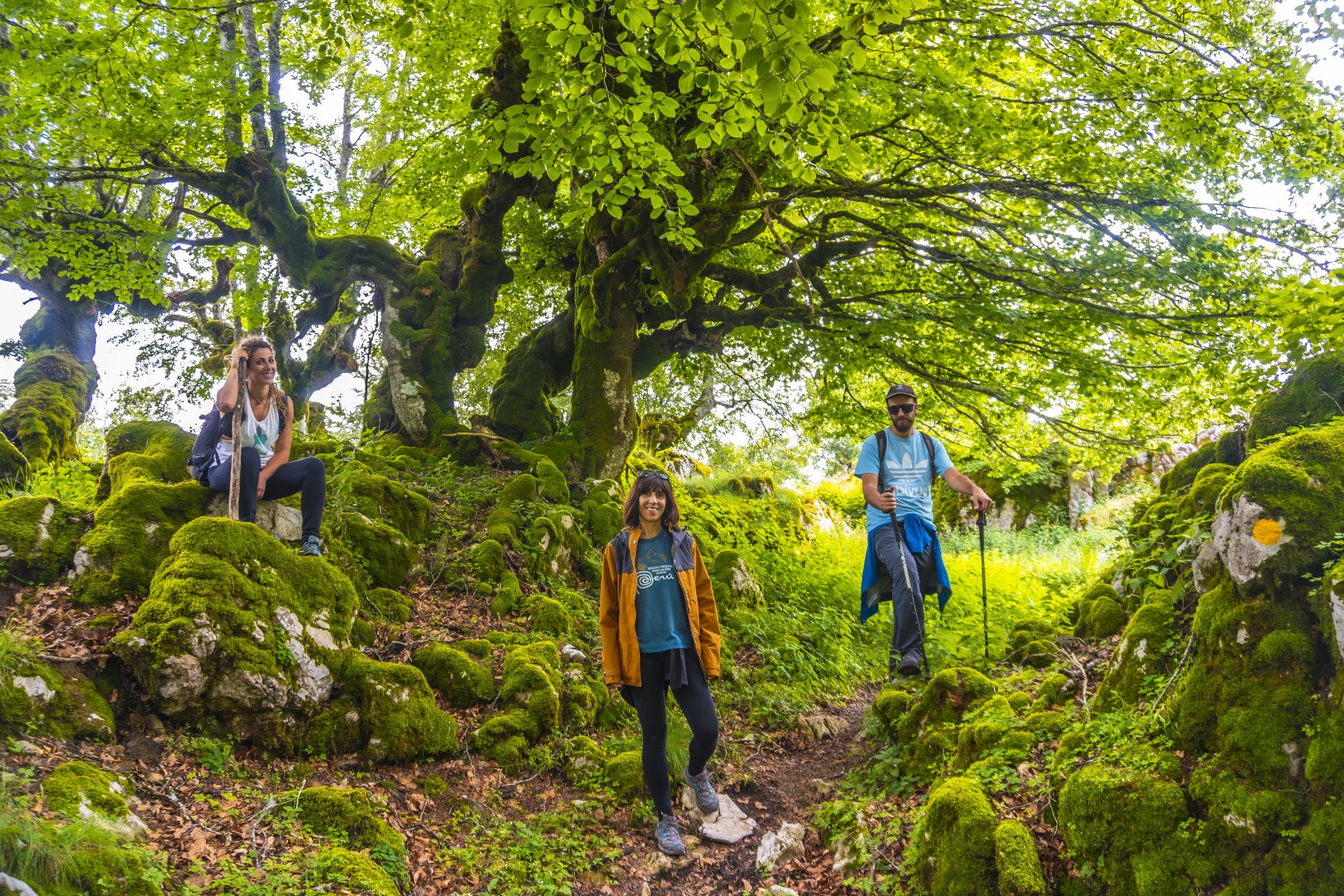 Role of the Natural Resources Wales - ComplyPlus™ - The Mandatory Training Group UK -