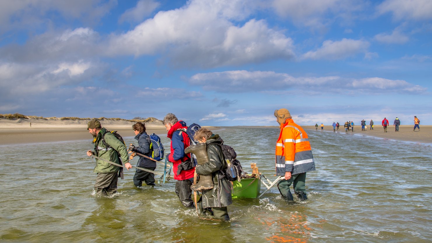 Role of the Northern Ireland Environment Agency