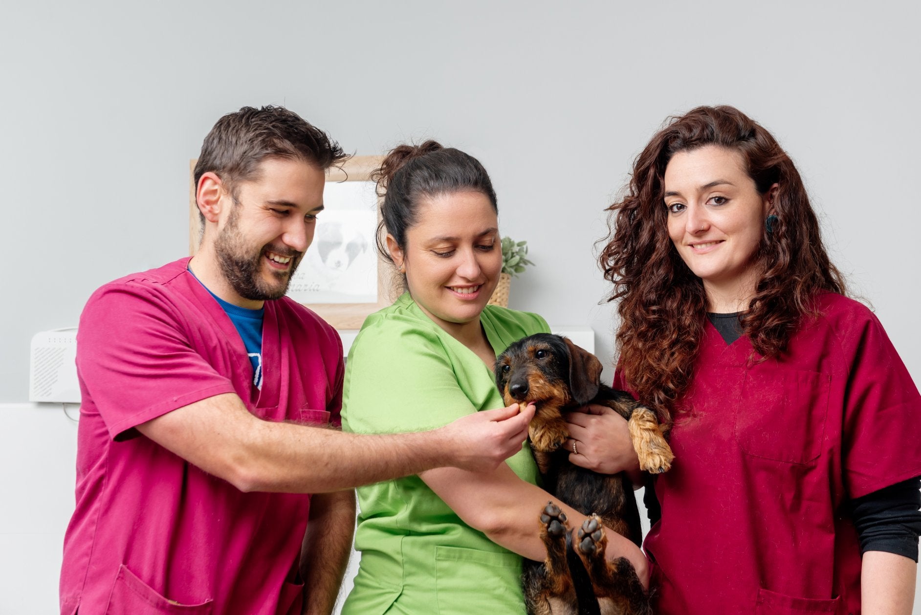 Role of the Royal College of Veterinary Surgeons - ComplyPlus™ - The Mandatory Training Group UK -