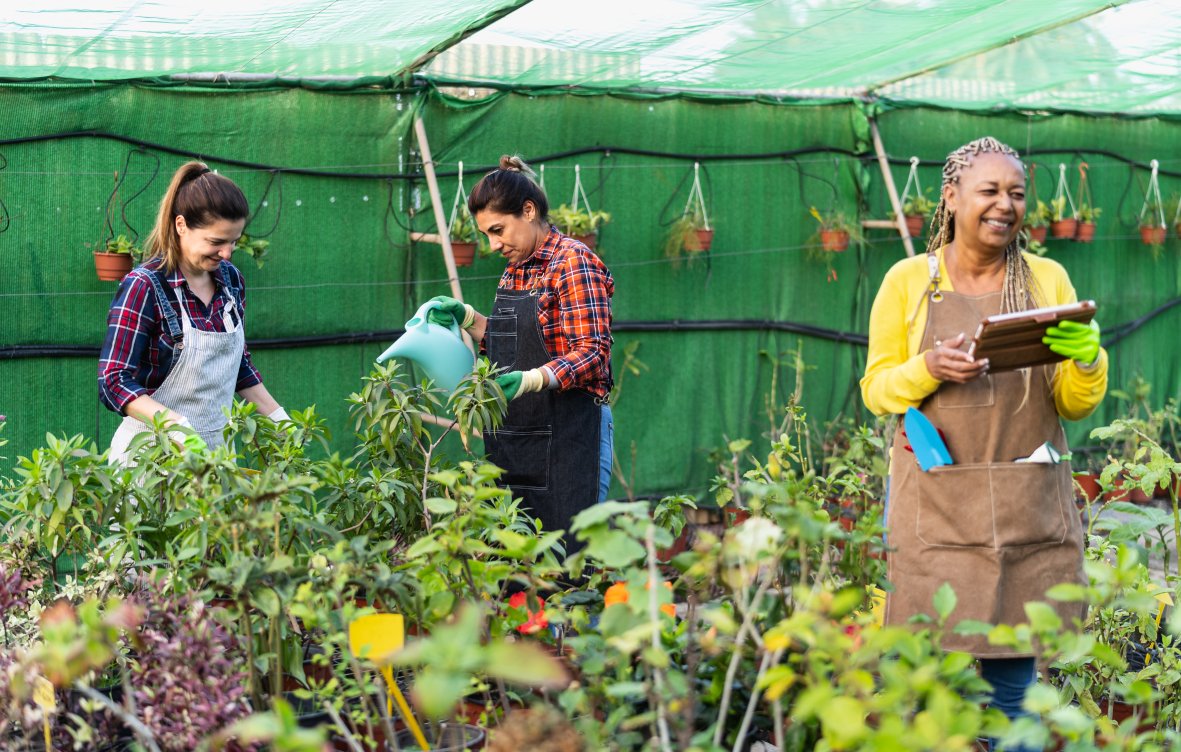 Role of the Royal Horticultural Society