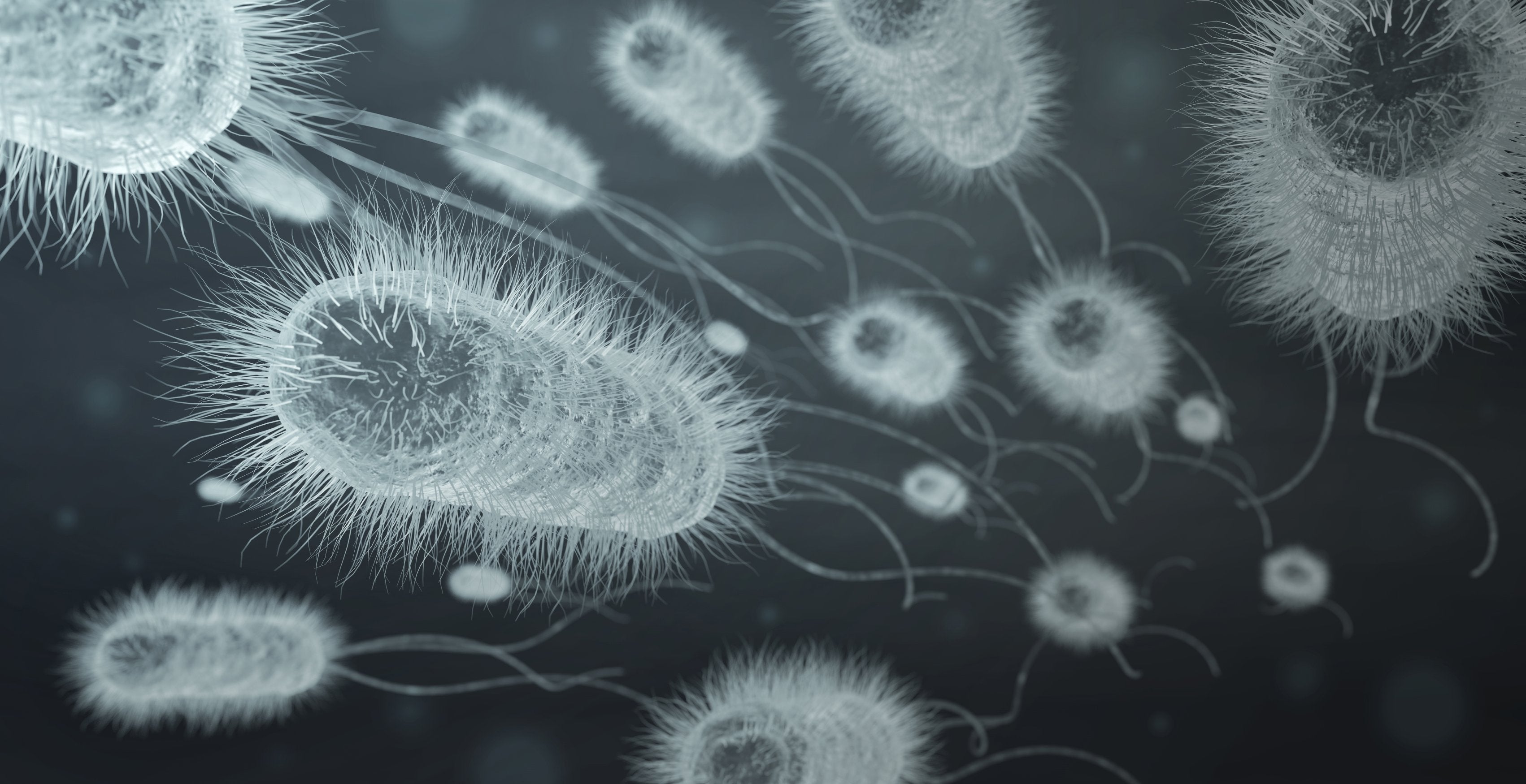 Sepsis courses & training