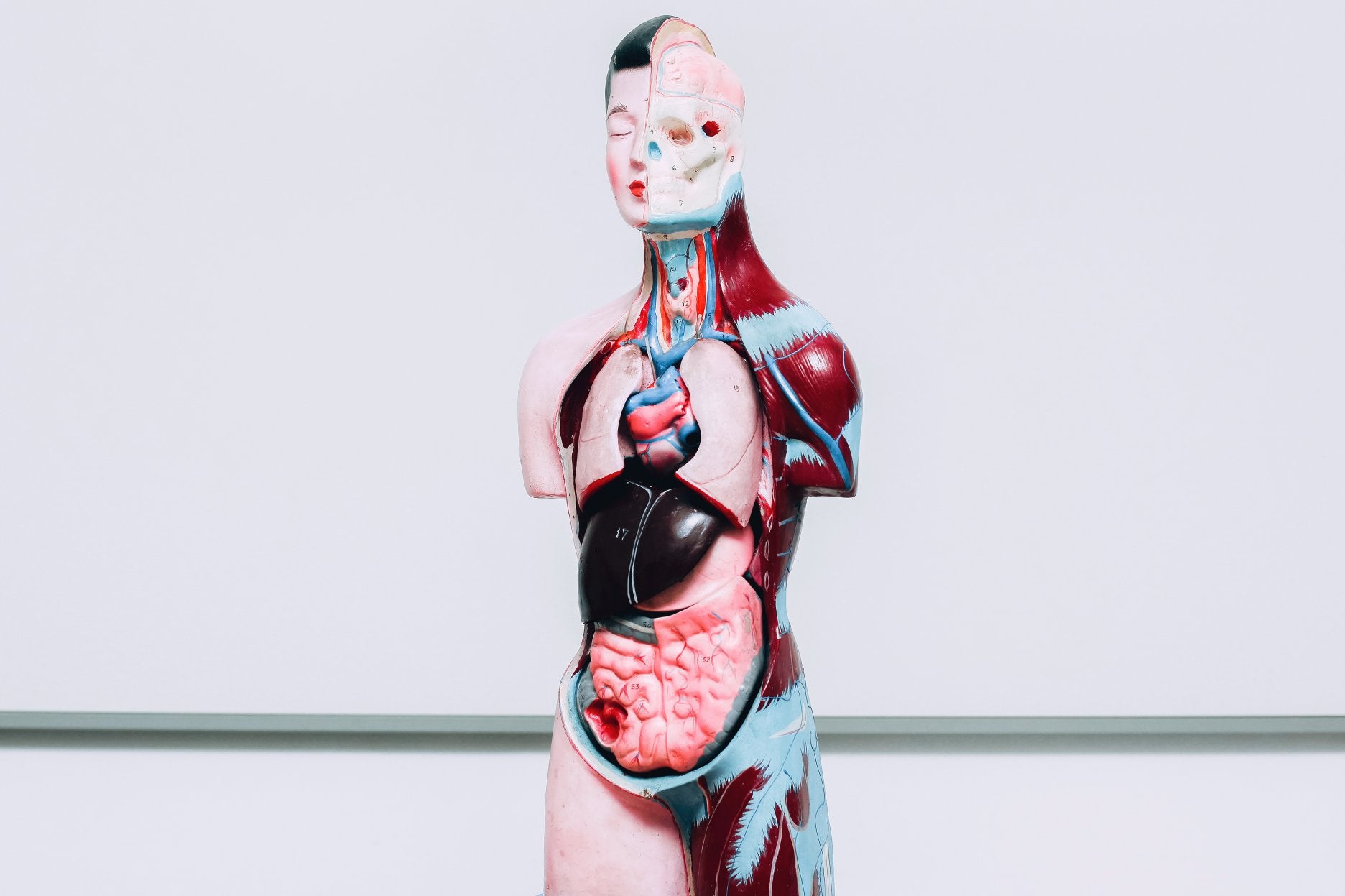 Role of the Human Tissue Authority - ComplyPlus™ - The Mandatory Training Group UK -
