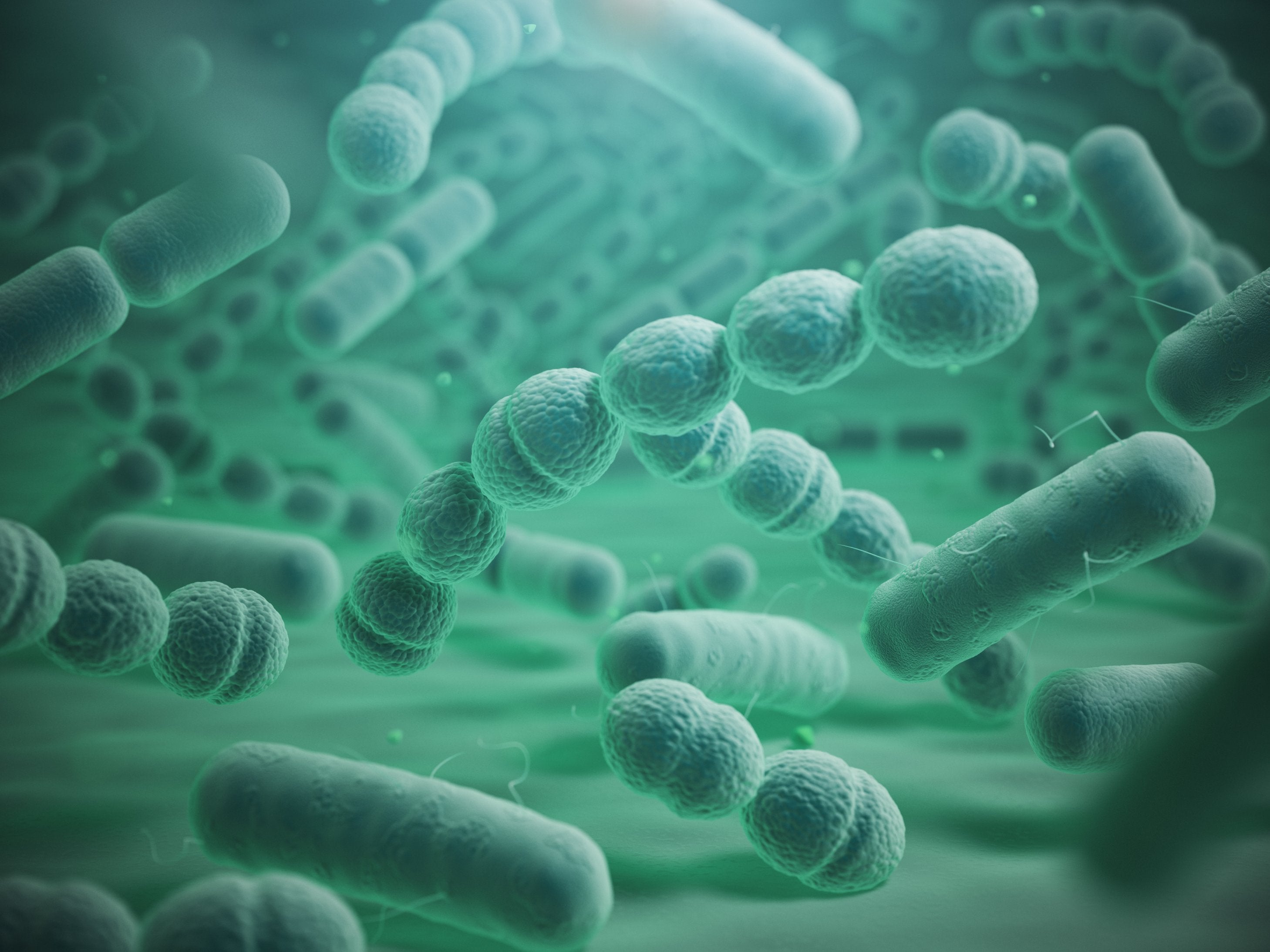 Legionnaires' disease awareness courses & training