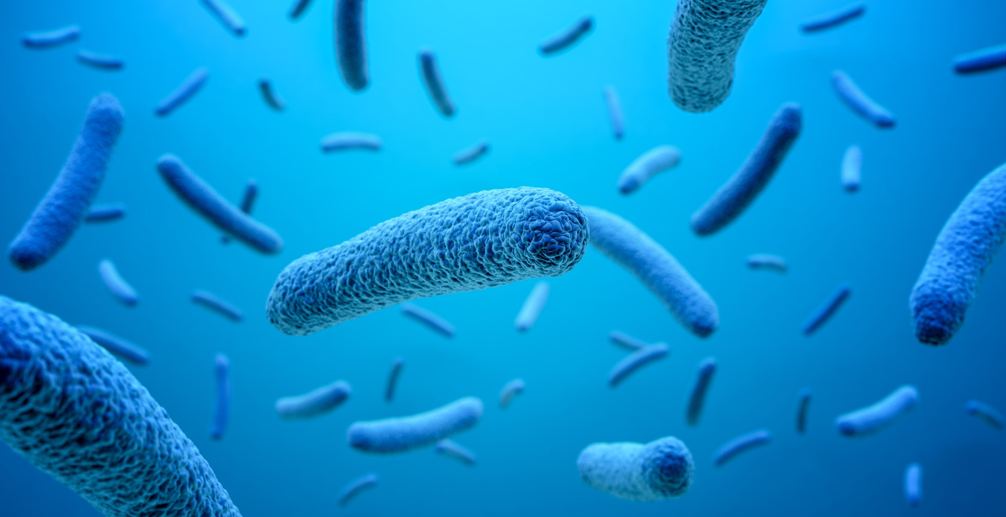 Legionella awareness courses & training