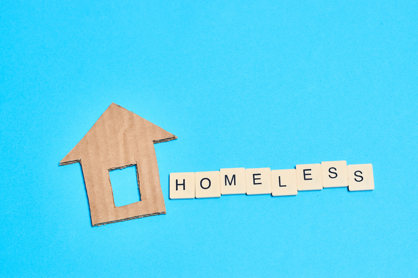 World Homeless Day 2024: Raising awareness and inspiring action - The Mandatory Training Group UK -