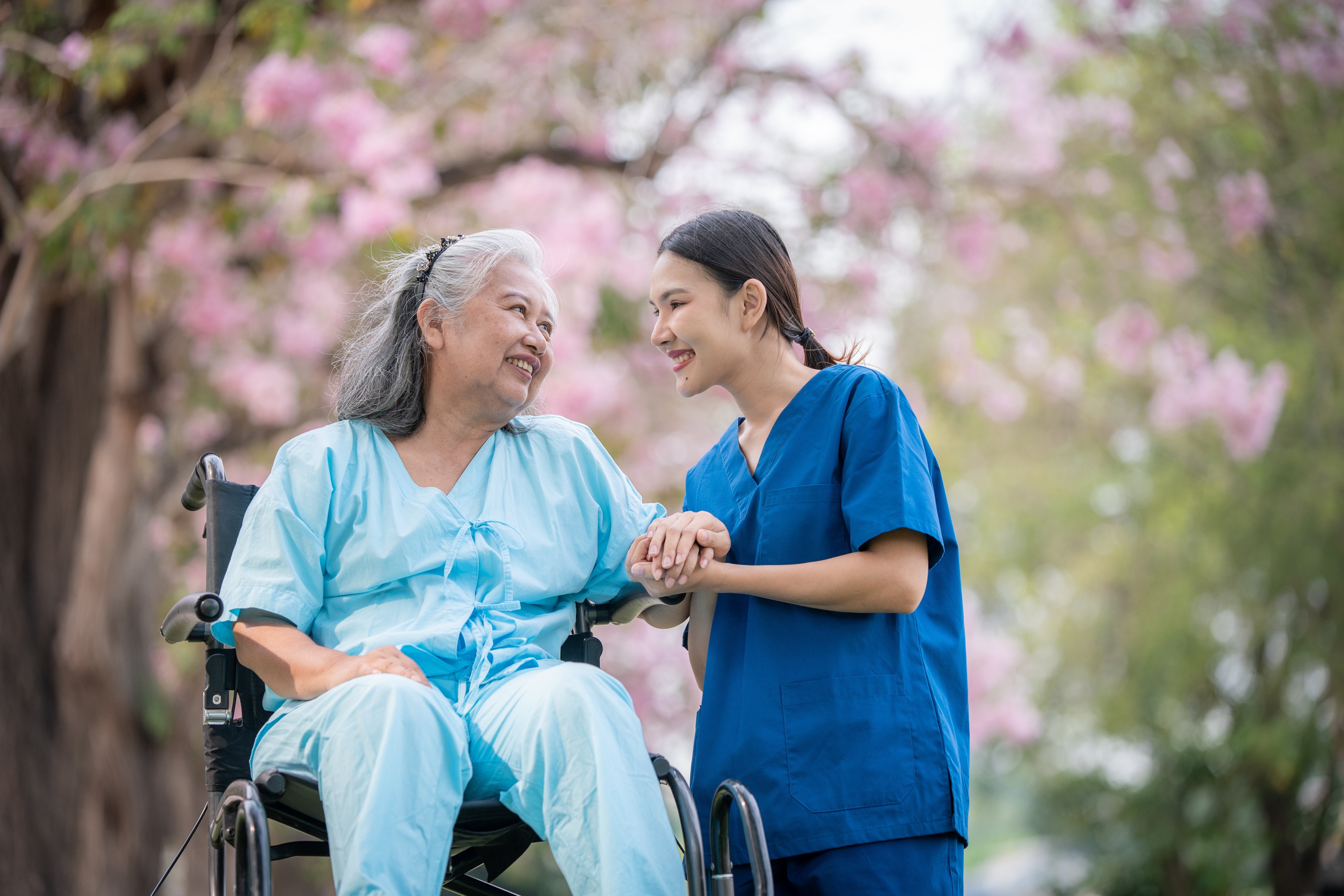 World Hospice and Palliative Care Day 2025 - The Mandatory Training Group UK -