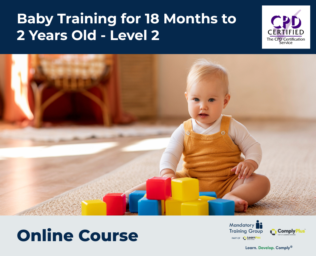 Baby Training for 18 Months to 2 Years Old - Level 2