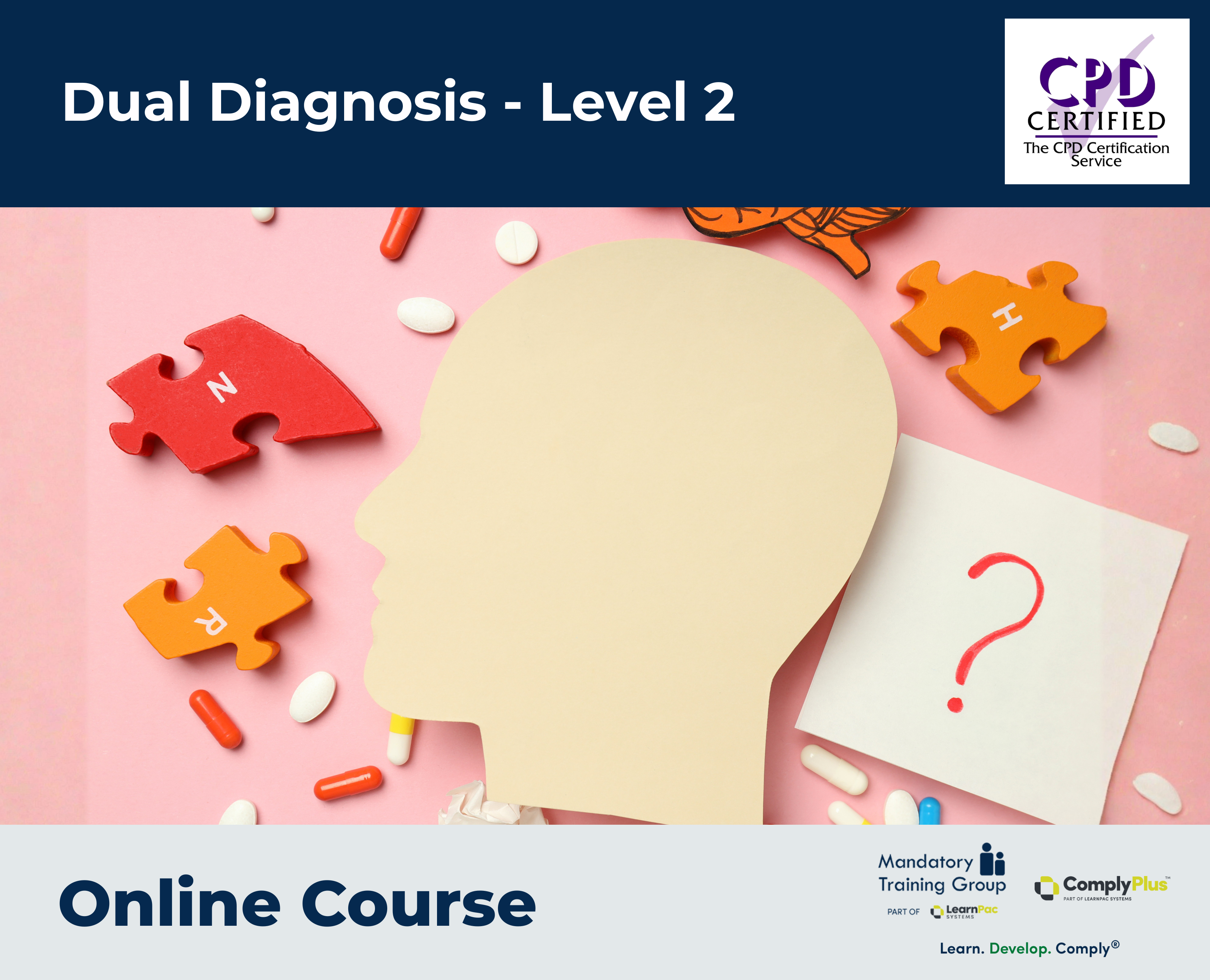 Dual Diagnosis - Level 2