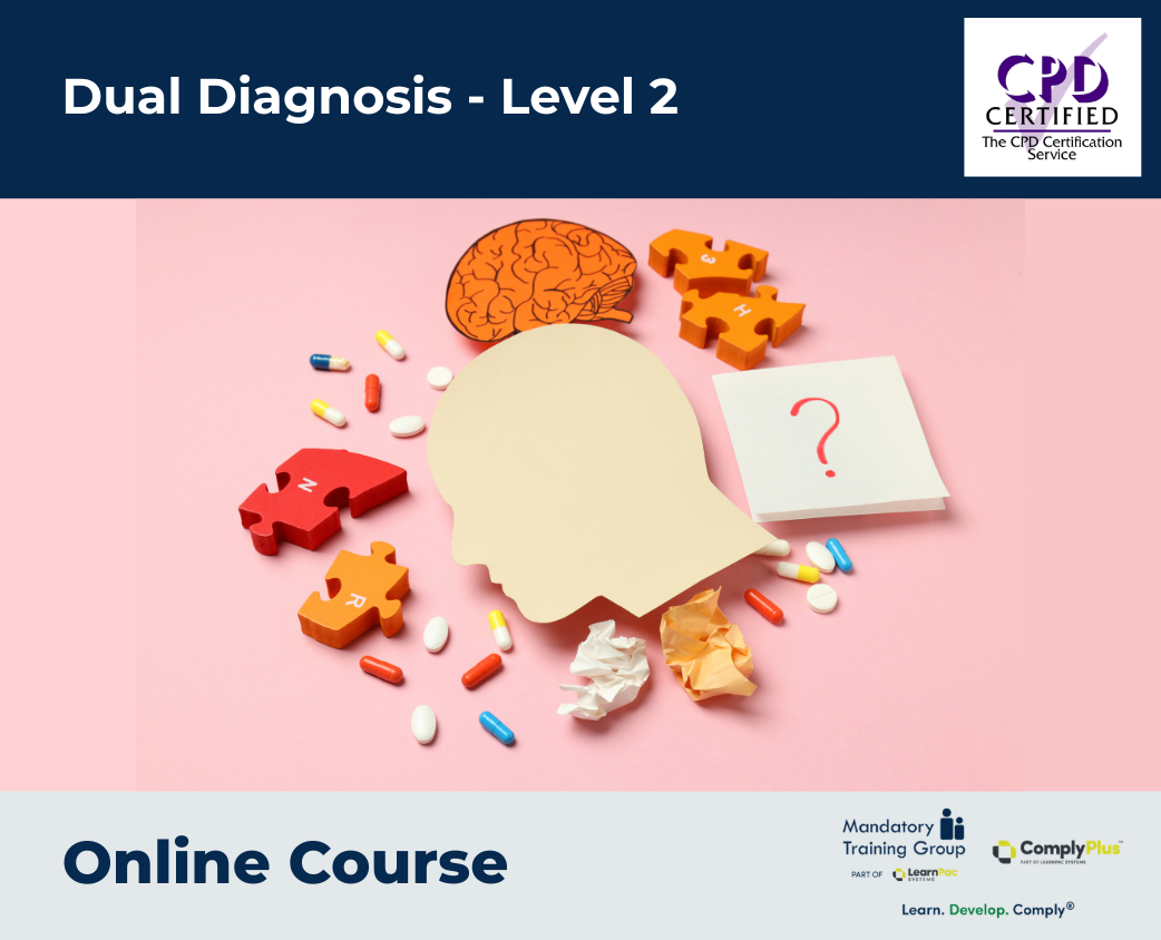 Dual Diagnosis - Level 2