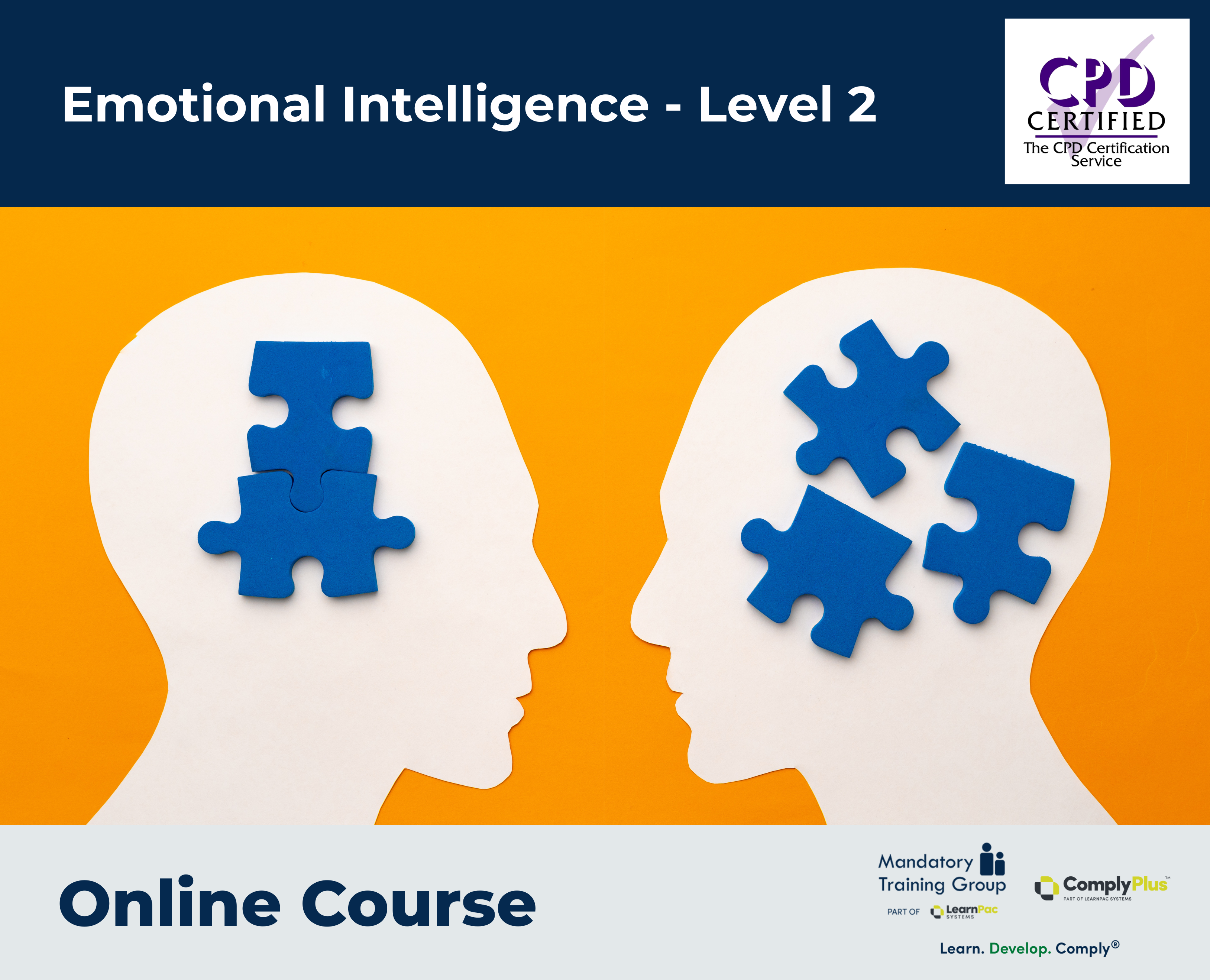 Emotional Intelligence - Level 2
