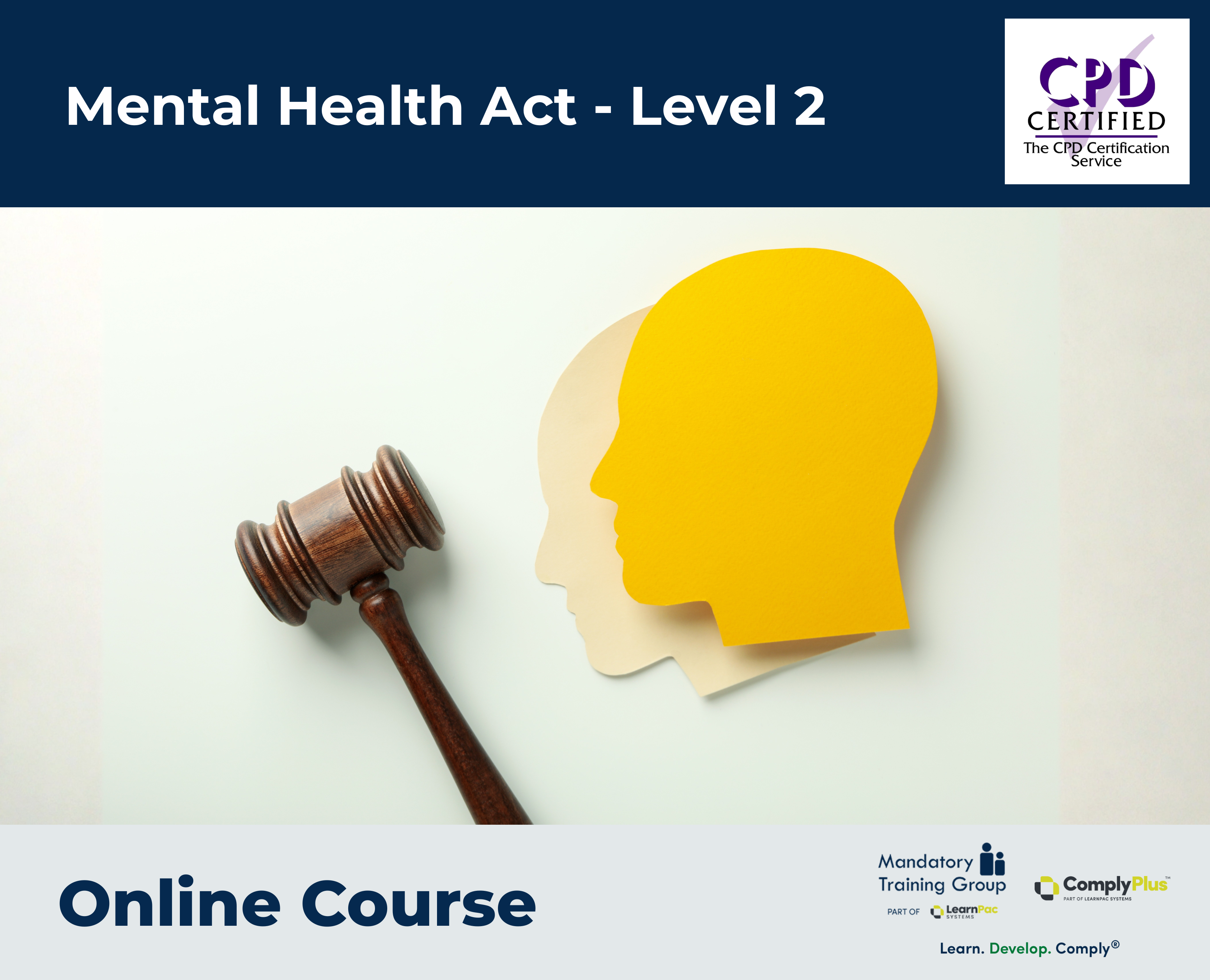 Mental Health Act - Level 2