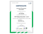 Online CSTF Safeguarding Adults - Level 2 - Course - ComplyPlus™ LMS - The Mandatory Training Group UK -
